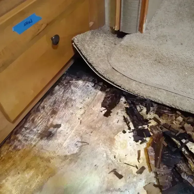 Wood Floor Water Damage in Mesa, AZ